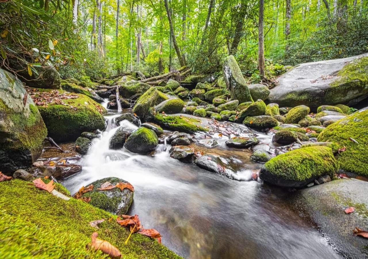 The Grand Orchard Lodge - Gatlinburg, Tn Buitenkant foto